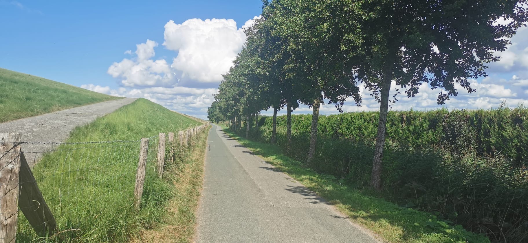 Fahrradweg entlang des Elbdeichs
