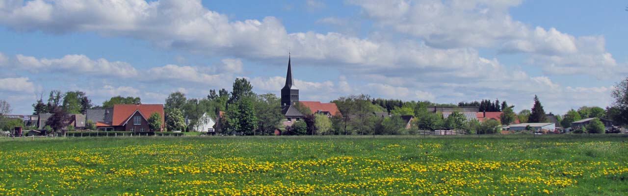 Panoramablick über die grüne Landschaft von Haselau