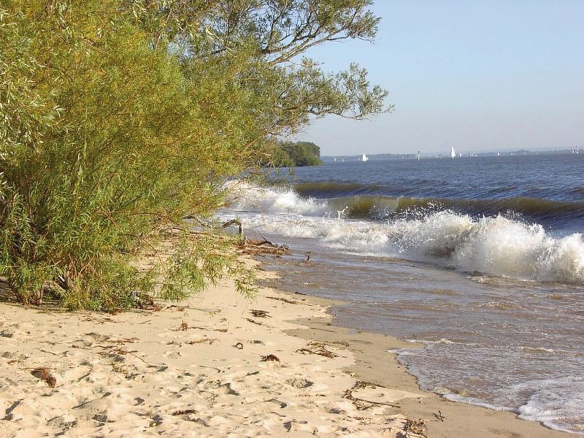 Natürlicher Strand nahe dem Ferienhaus Elbblick
