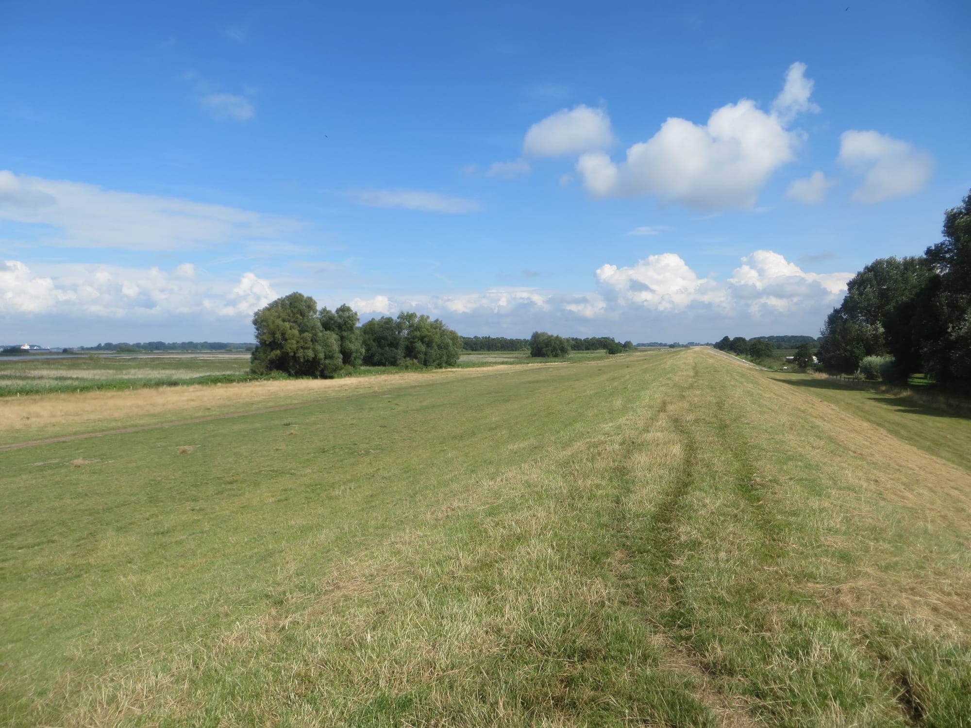Saftig grüne Wiesen in der malerischen Umgebung von Haselau